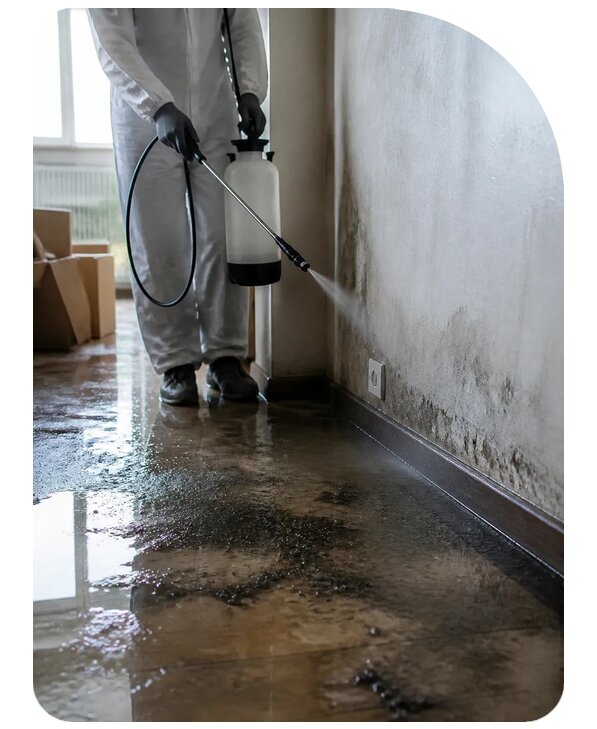 Дезинфекция после затопления в Черкесске по цене от 5608 р. | Сенат-Чрк